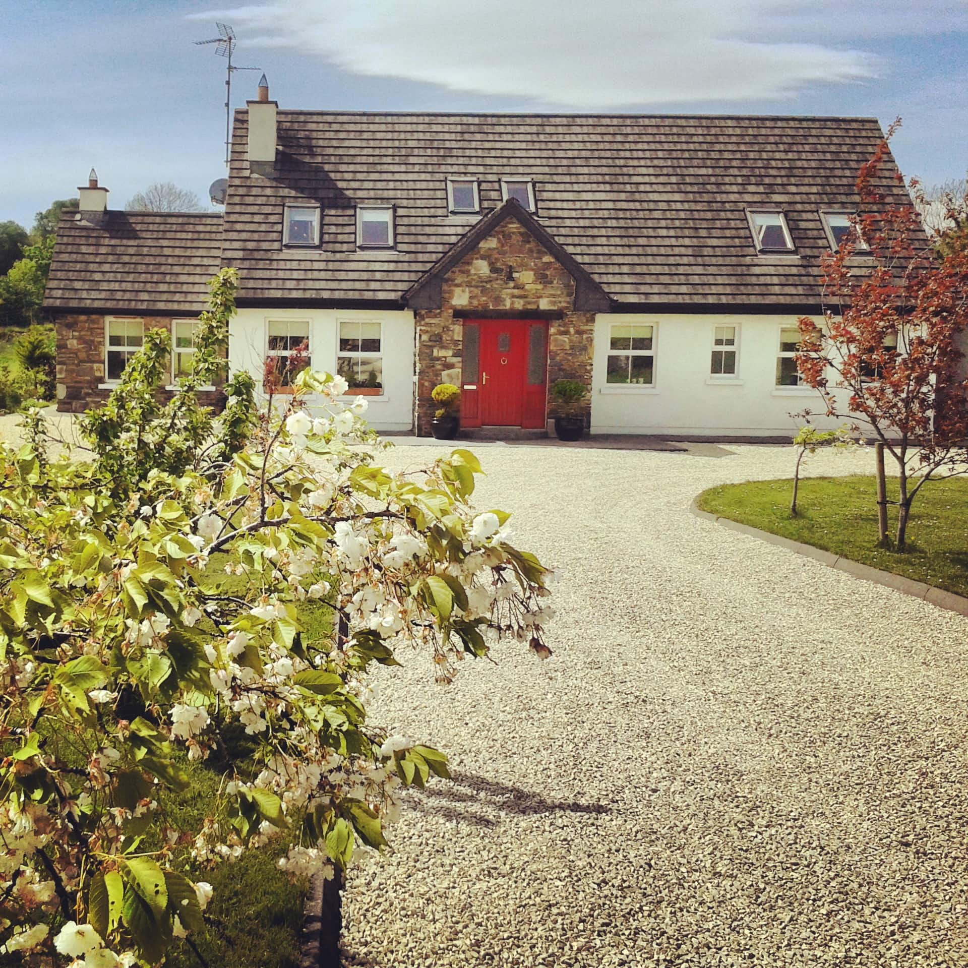 The Red Door Westport — photo 3