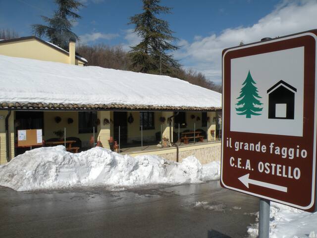 Il Grande Faggio Camera 2 da 2 posti