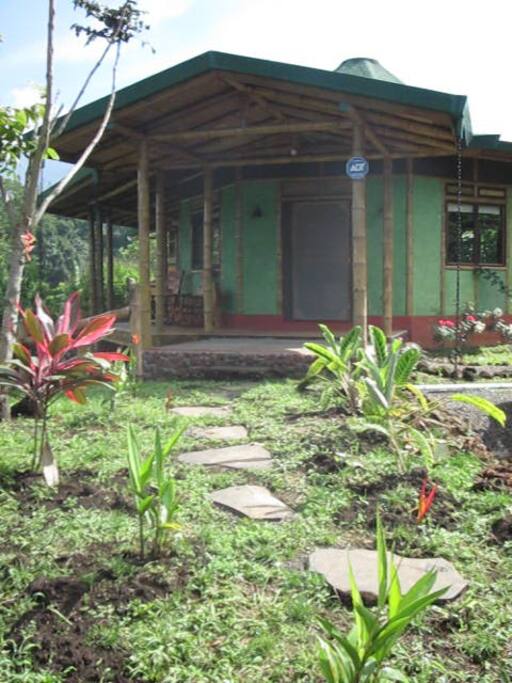 Bamboo house