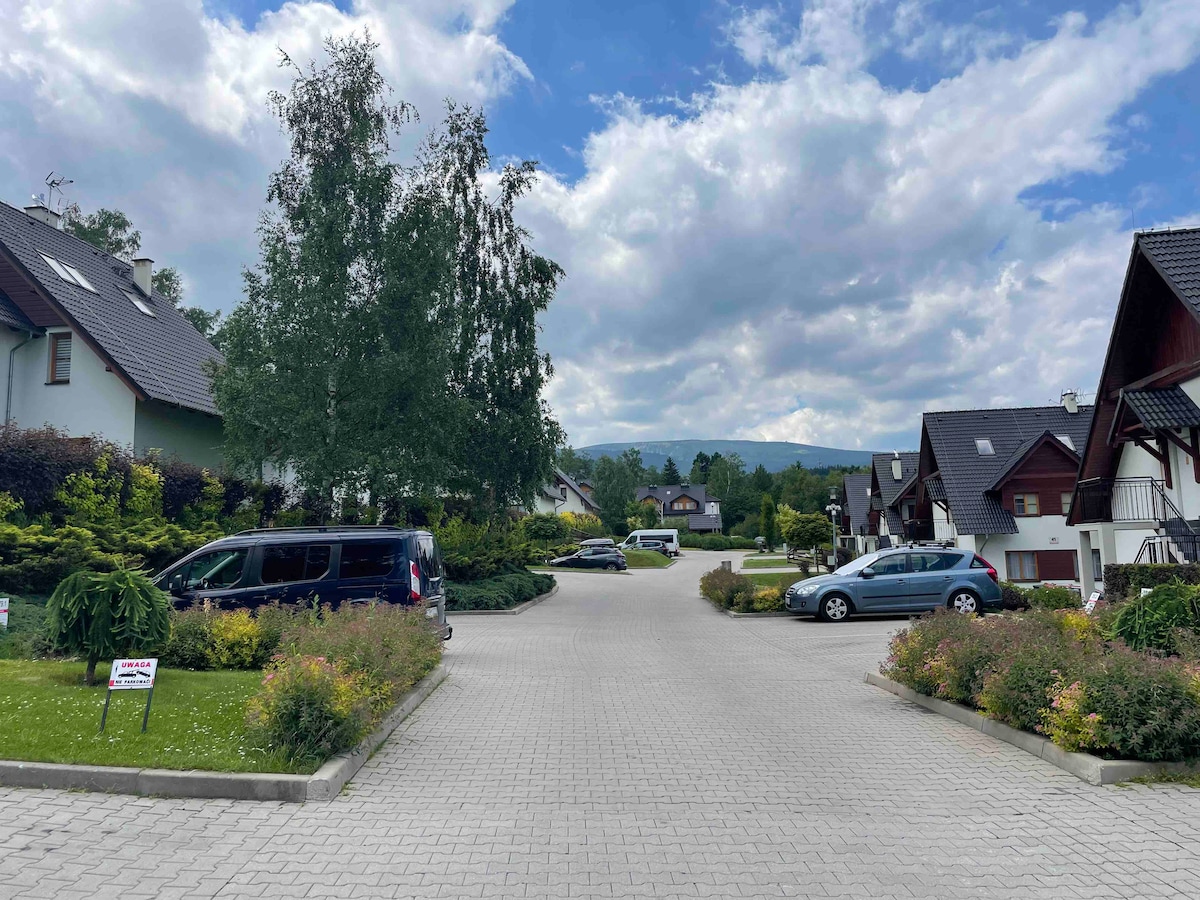 A spacious parking area is lined with various vehicles, surrounded by landscaped greenery. The scene includes residential buildings with sloped roofs on either side, and distant mountains can be seen under a partially cloudy sky.