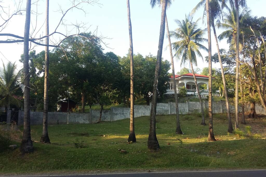 The whole compound.