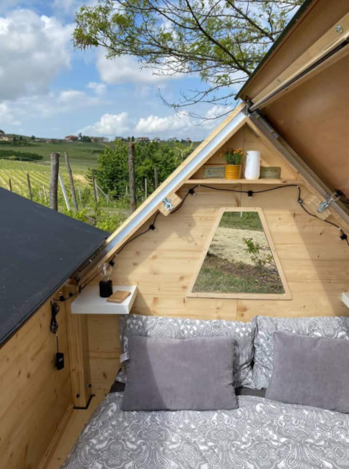 picture of StarsBOX