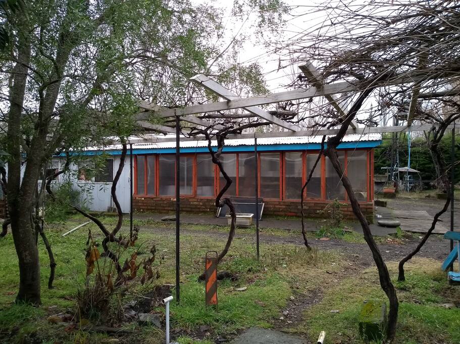 Parron patronal antiguo de uvas negras y blancas al pie de la casa