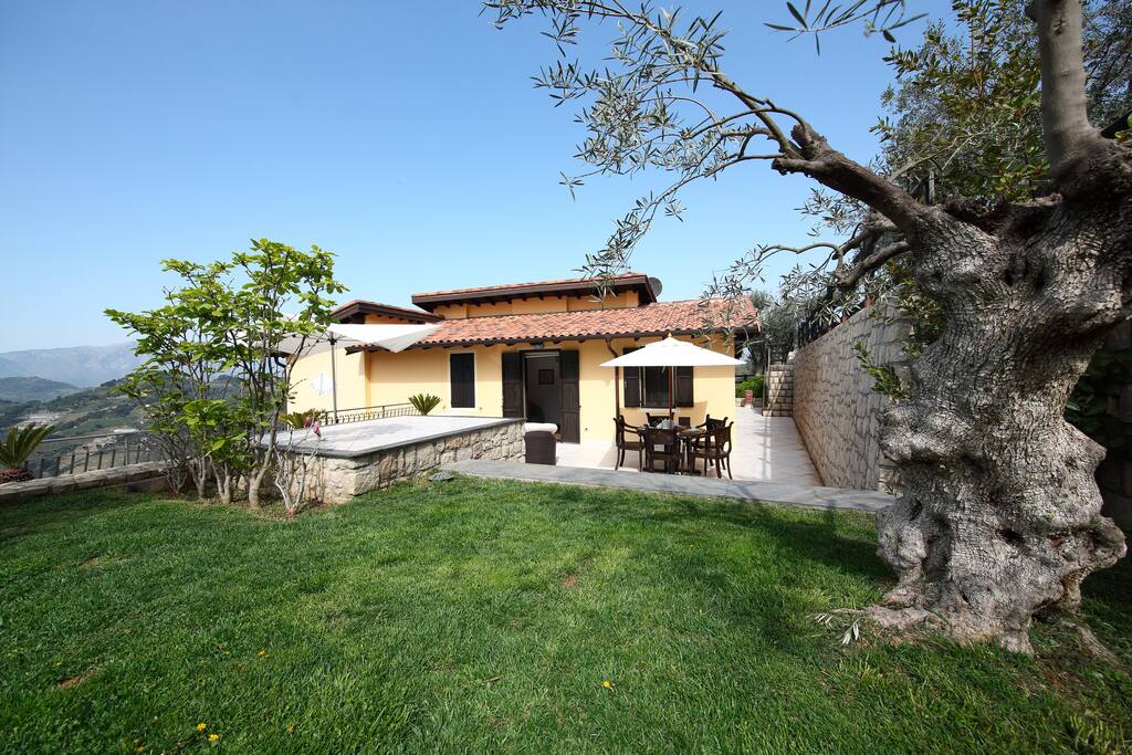 Terrace View