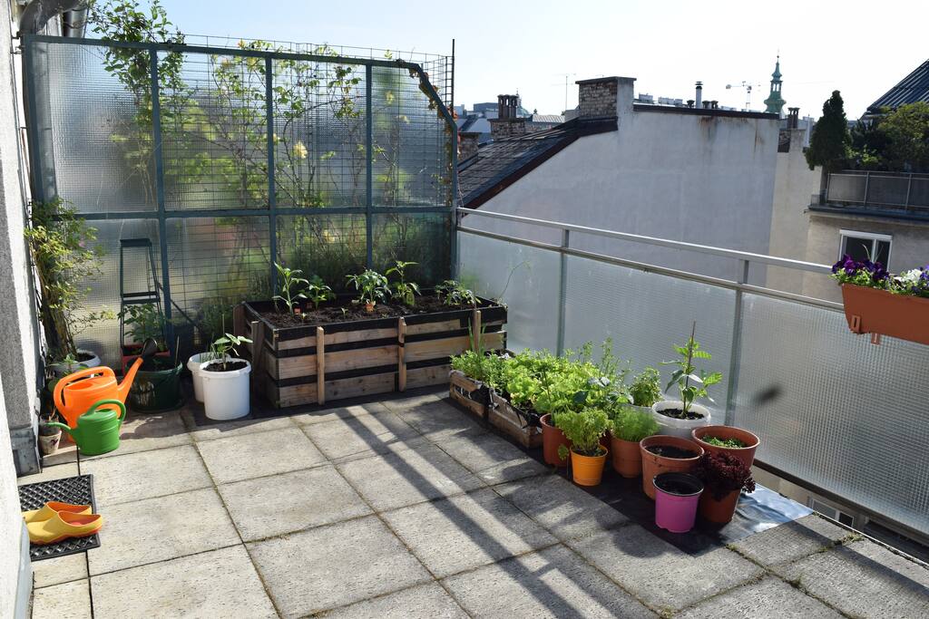 enjoy the sun at the terrace