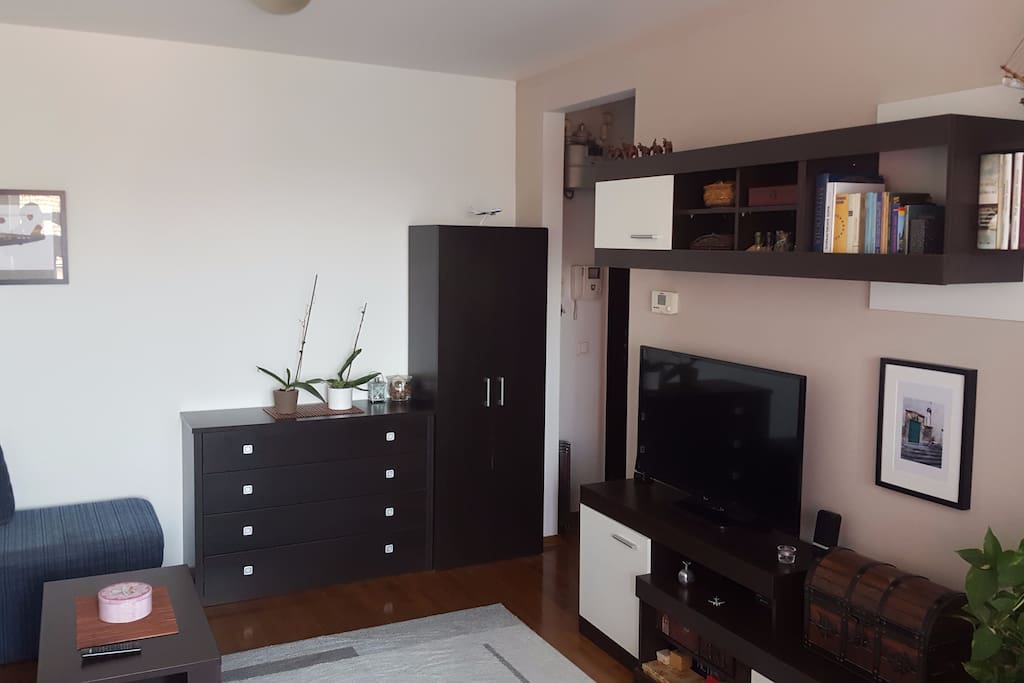 Big screen TV