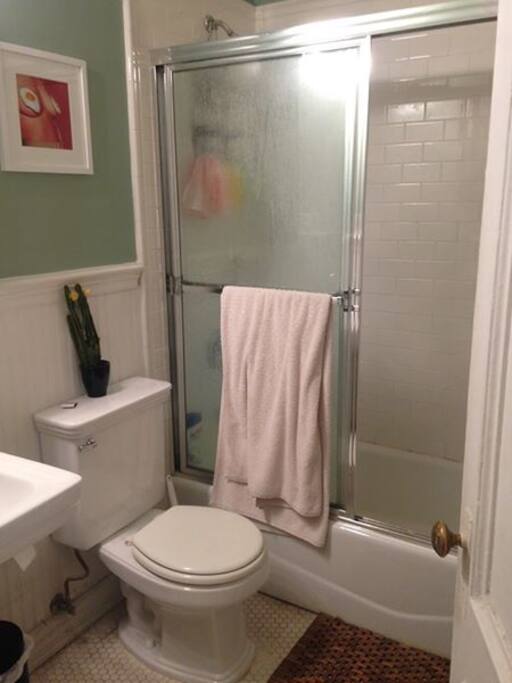 Bathroom! The apartment has 2, this would be yours, shared with 2 other girls
