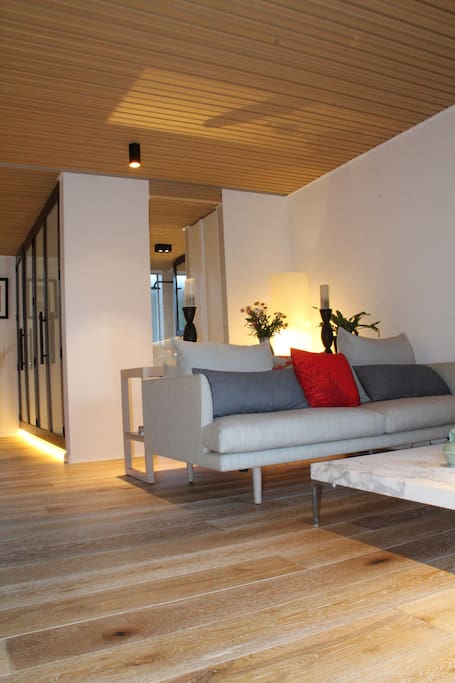 luxe living area with marble coffee table and sofa