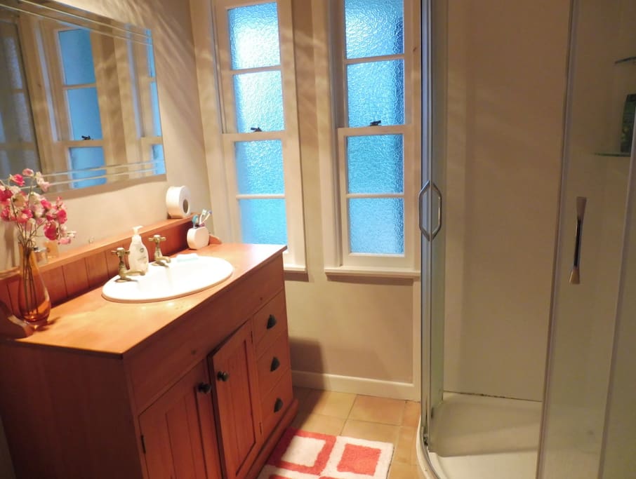 Private Shower with separate toilet