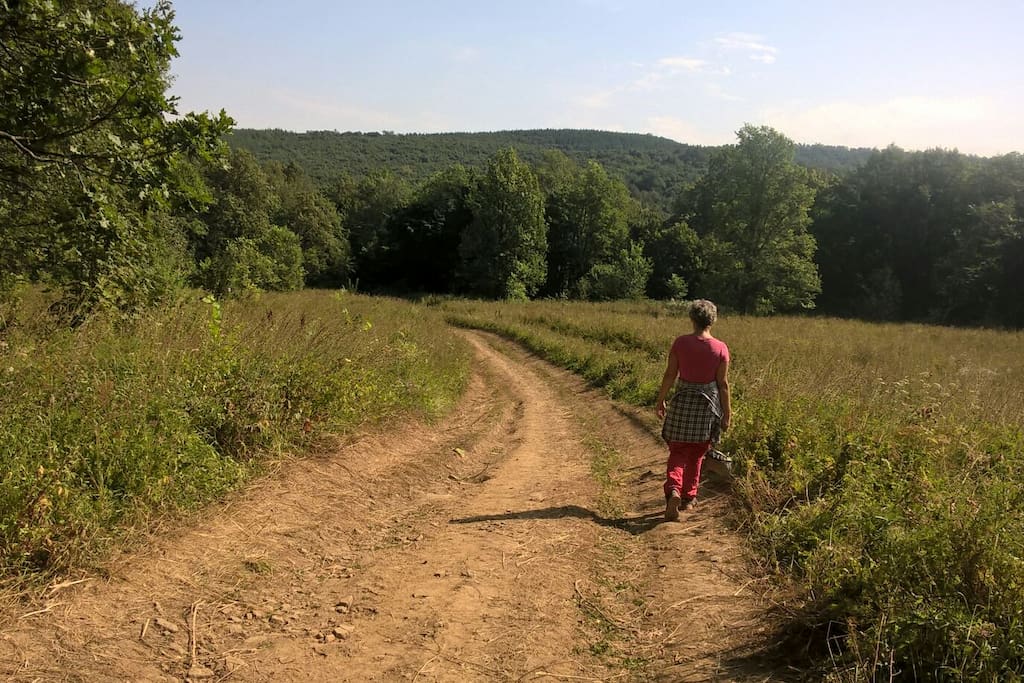 Wandern, reiten oder mit dem Moutainbike