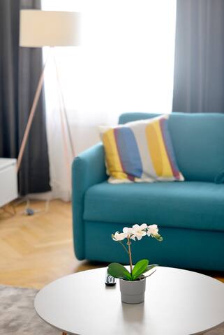 Viennese Charm Close to Museumsquartier gallery image 4