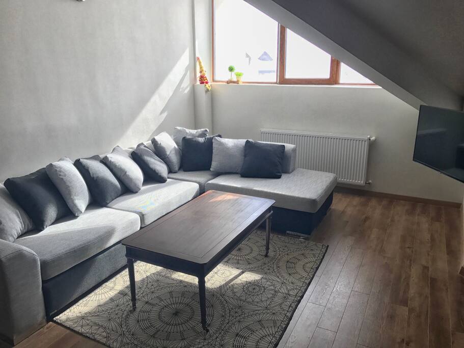 Living Room/ Pull-out Sofa