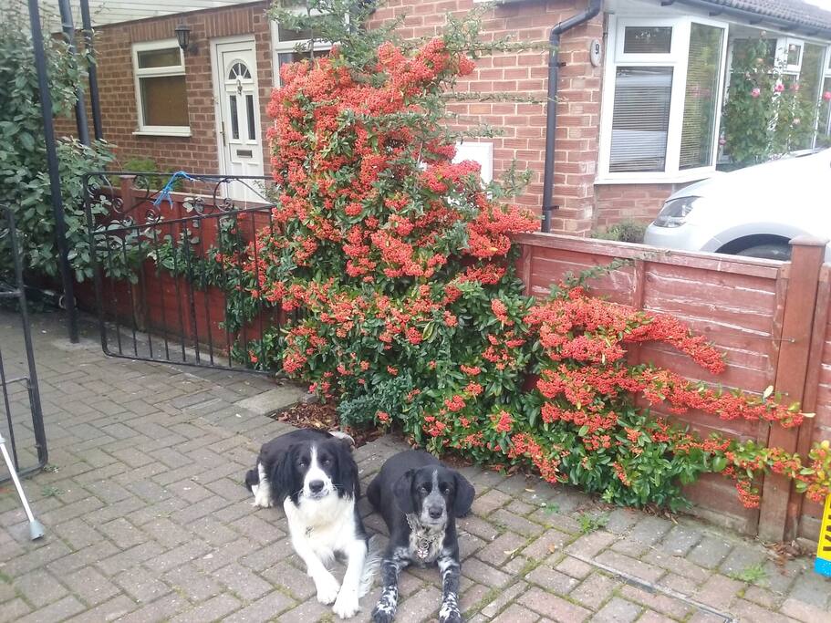 Lulu & Helga