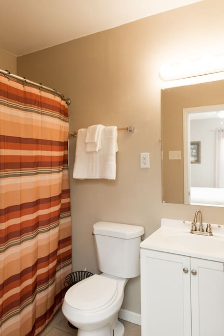 The bathroom, located inside the bedroom!