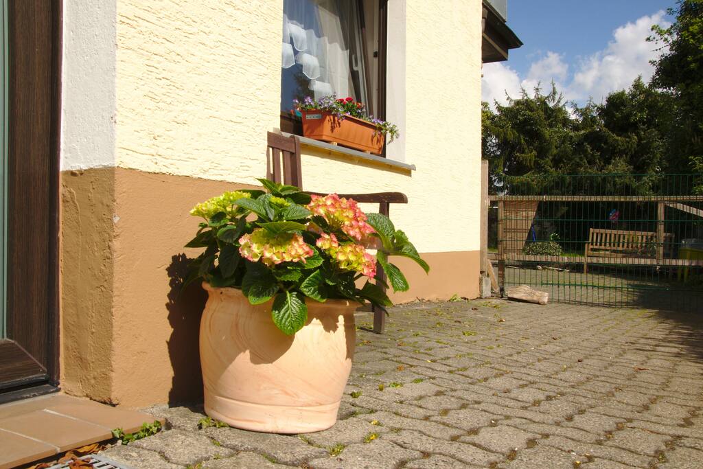 Außenansicht 1