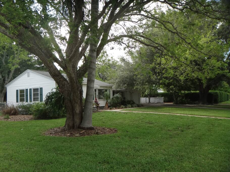 Large corner lot