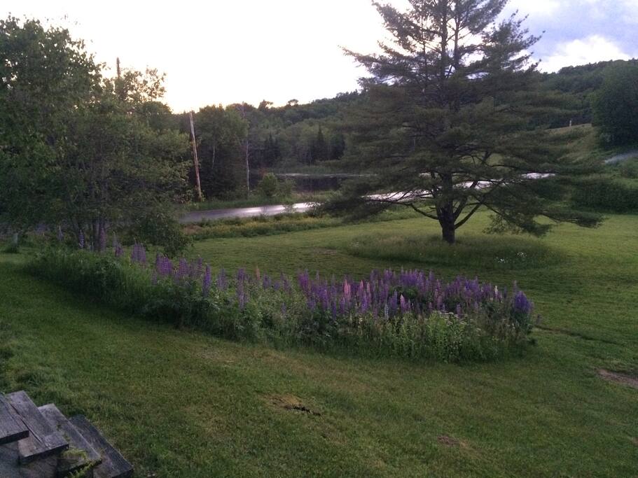West afternoon view from back deck.