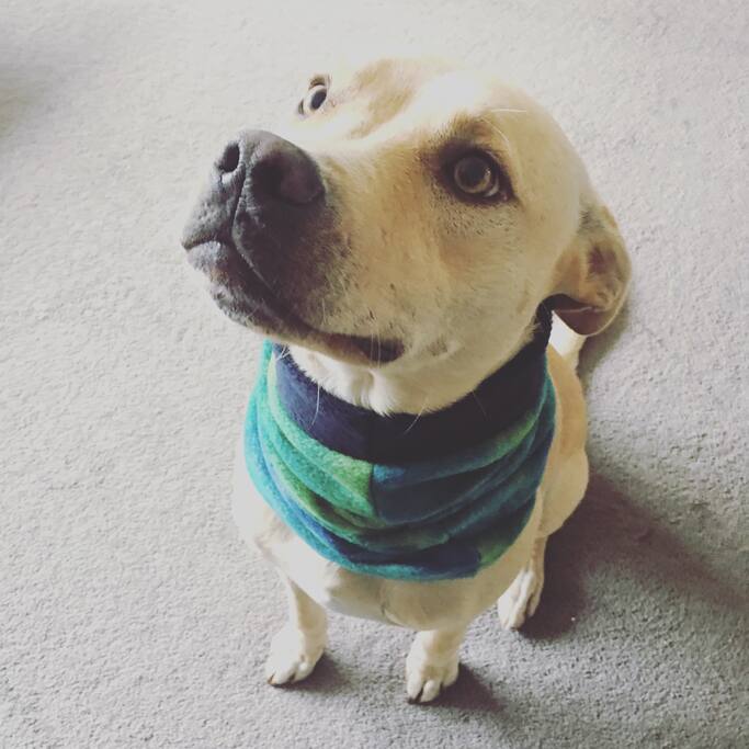 Bear can't wait to meet you!
