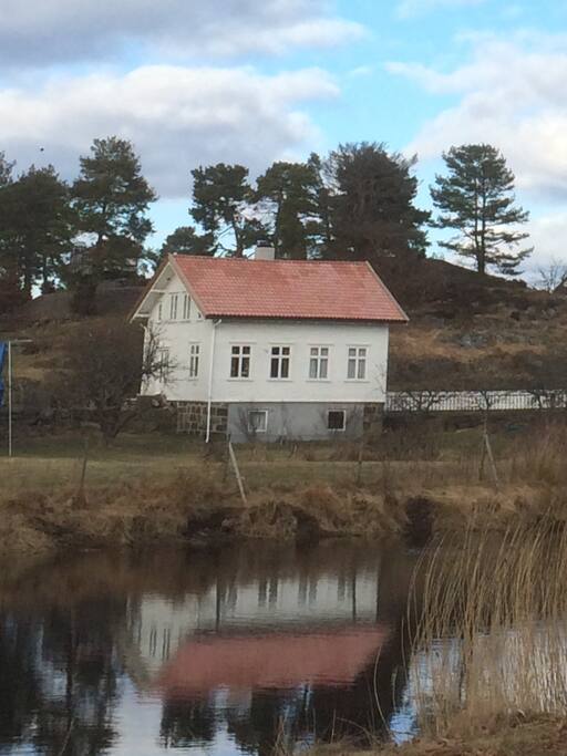 Vår/ Spring