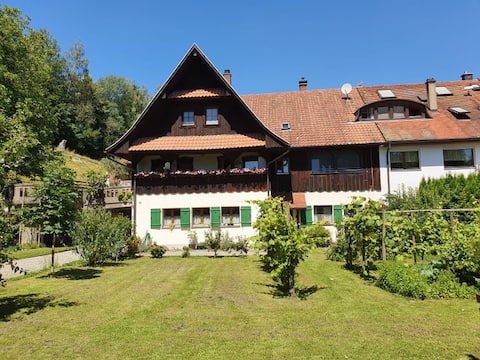 Top Airbnb: Haus Wald & See - Apartment with terrace in Wasserburg (Bodensee)