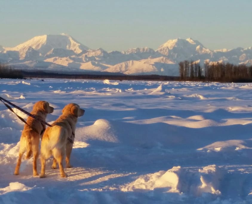 Views of Denali (a.k.a. Mt. McKinley) and the Alaskan Range is just a few minutes from the Denali Bungalow!