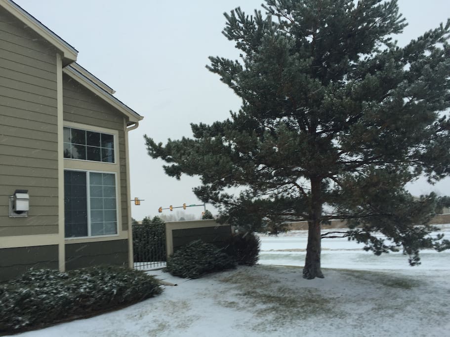 Front of the townhouse