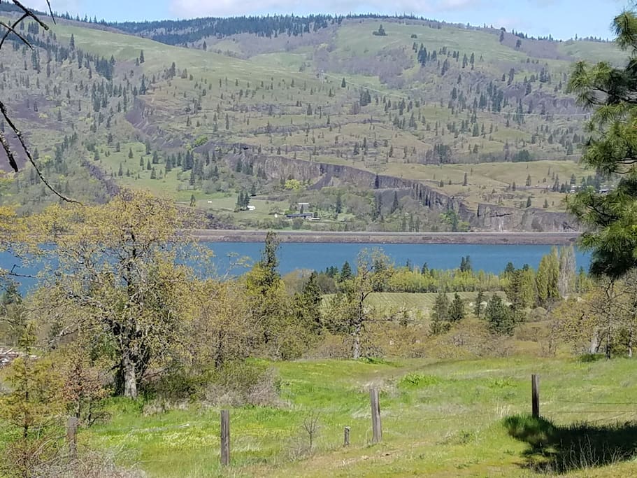 View to north from porch