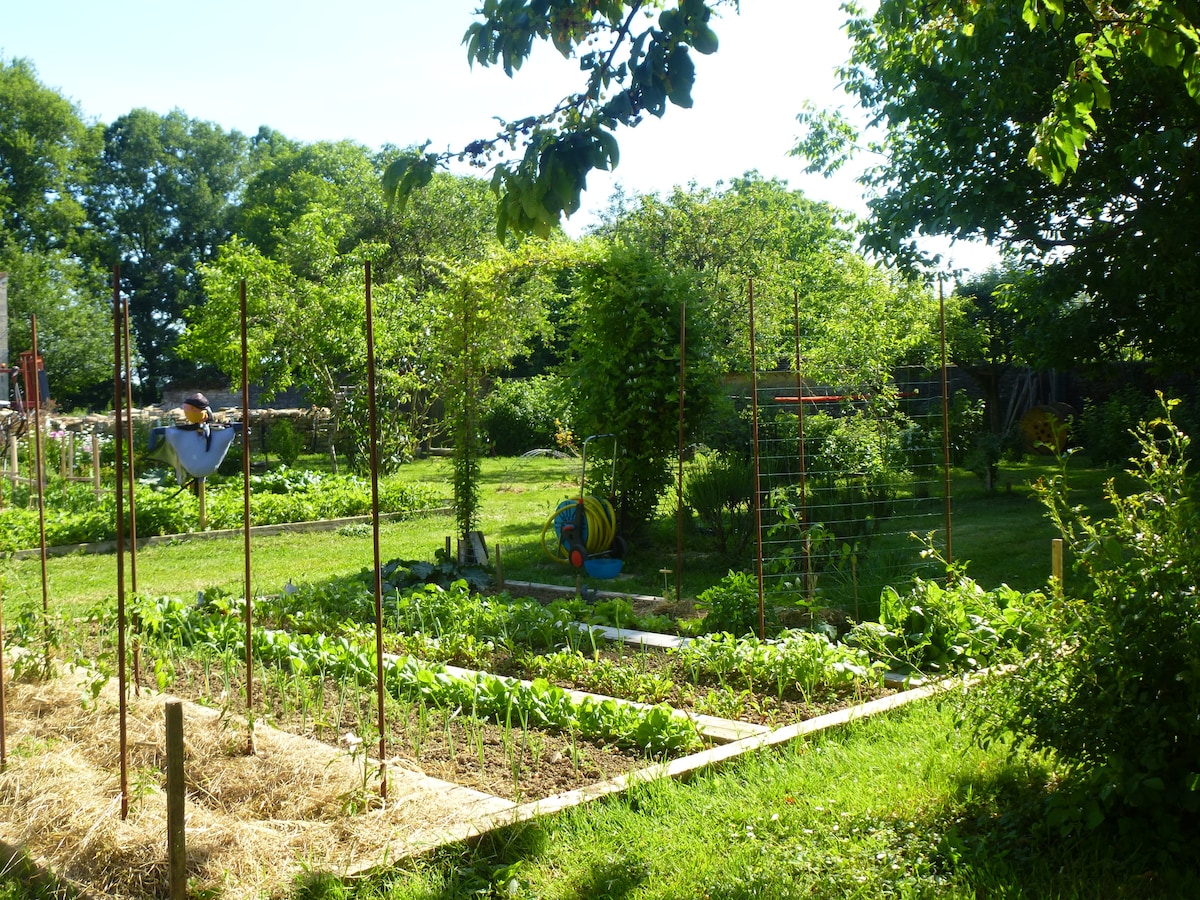 A well-maintained garden is shown, featuring various plants and vegetables arranged in neat rows. Tall posts support climbing plants, and trees provide shade around the area. Colorful gardening tools are visible, adding a touch of vibrancy to this tranquil outdoor space.