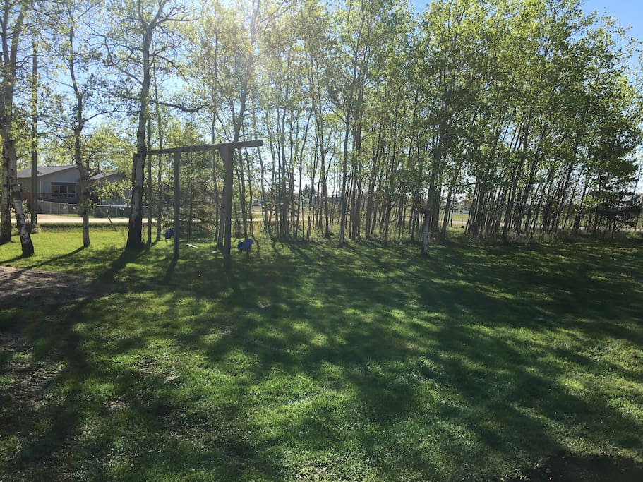 Large yard with swings, creek, fire pit and picnic area