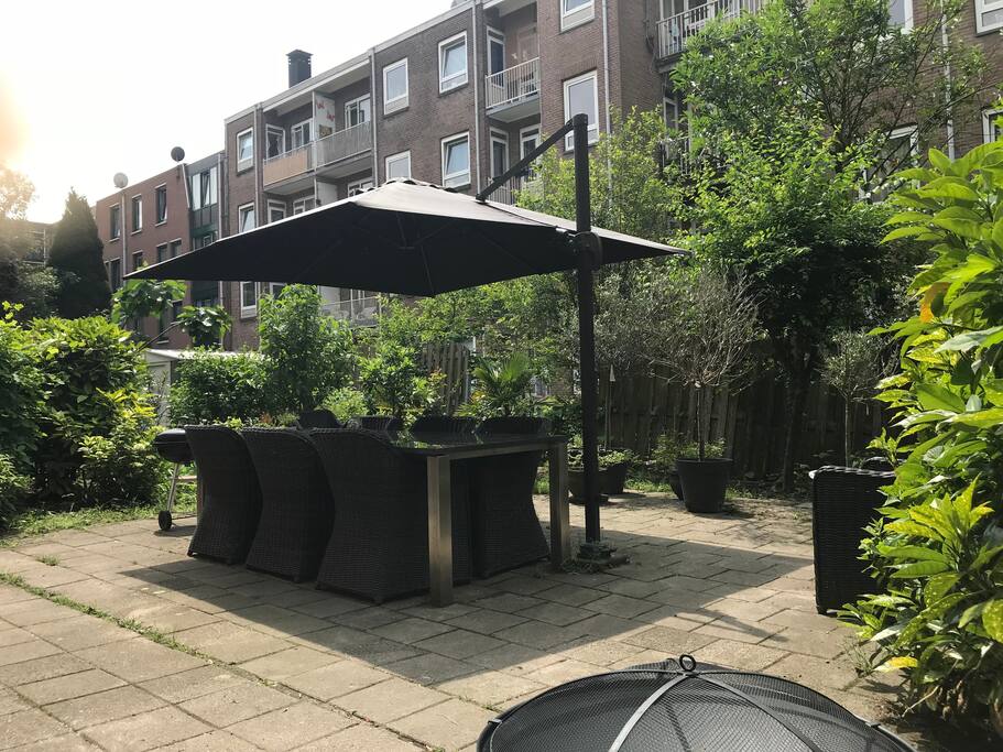 The garden