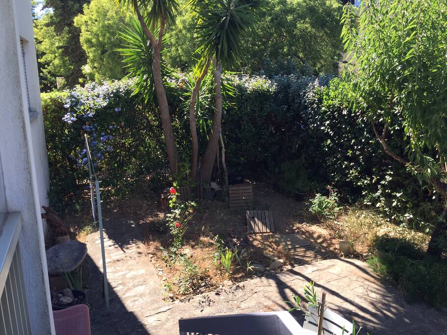 Le jardin au nord
