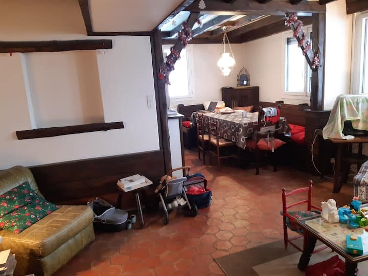 Au Pied Des Pistes, Spacieux Et Chaleureux - Allevard