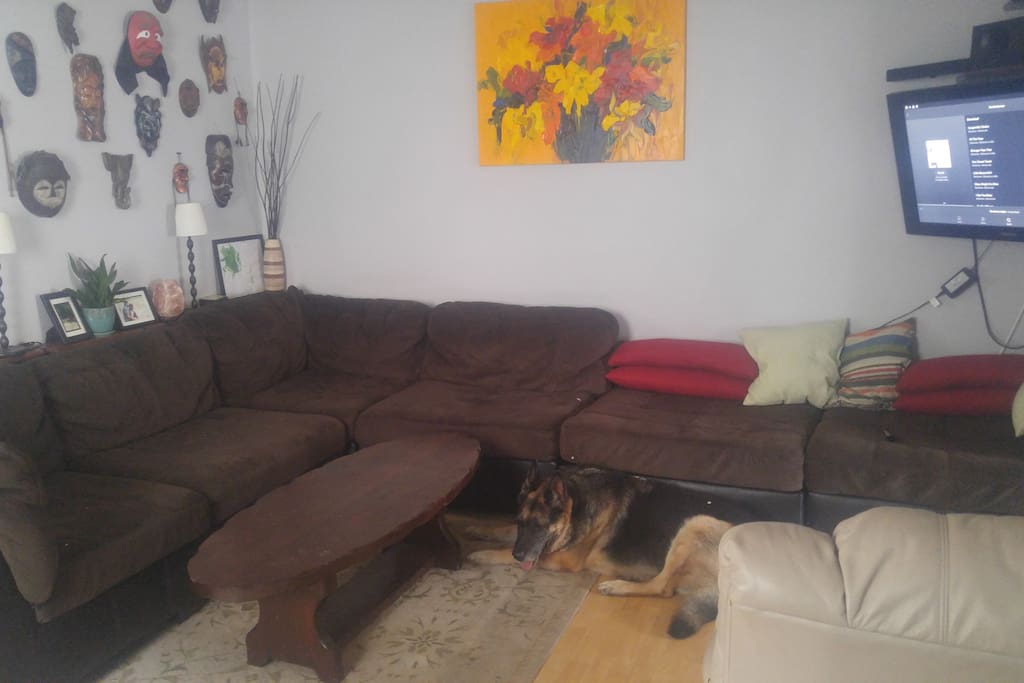 Main floor living room. Giant dog not included in rental.