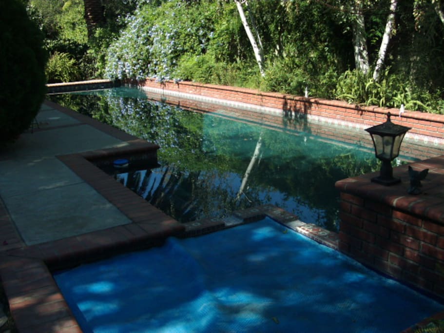 Sixty foot heated pool and jacuzzi