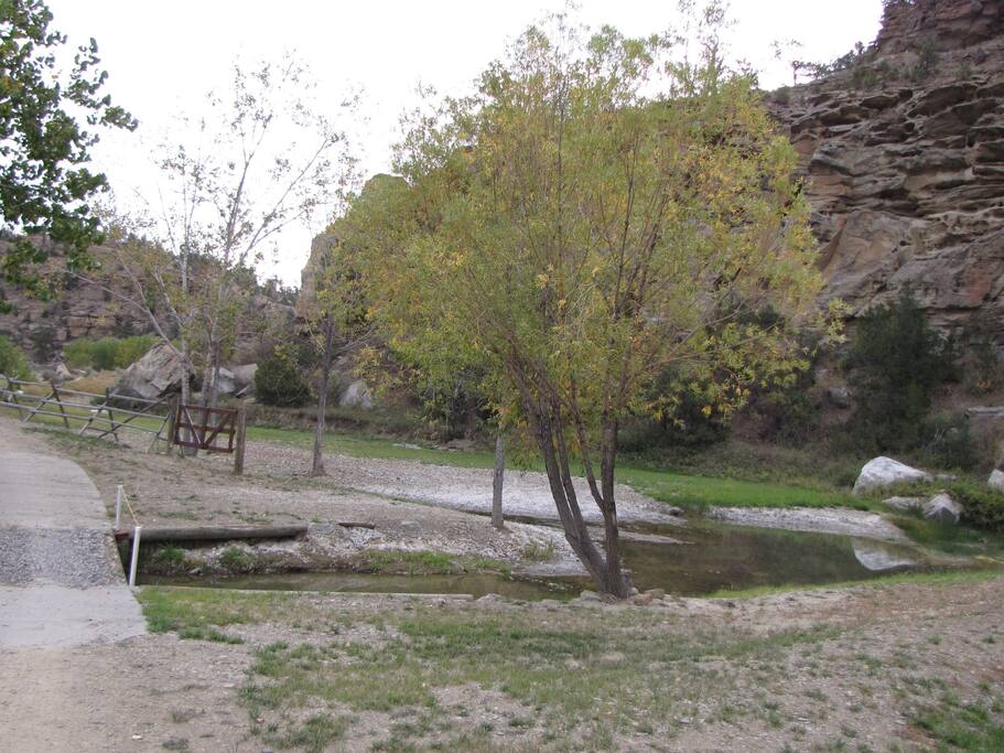 The creek meanders across our property and gurgles behind the apartment