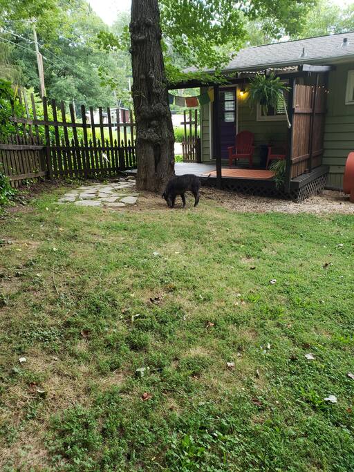 Back Yard that is fully fenced