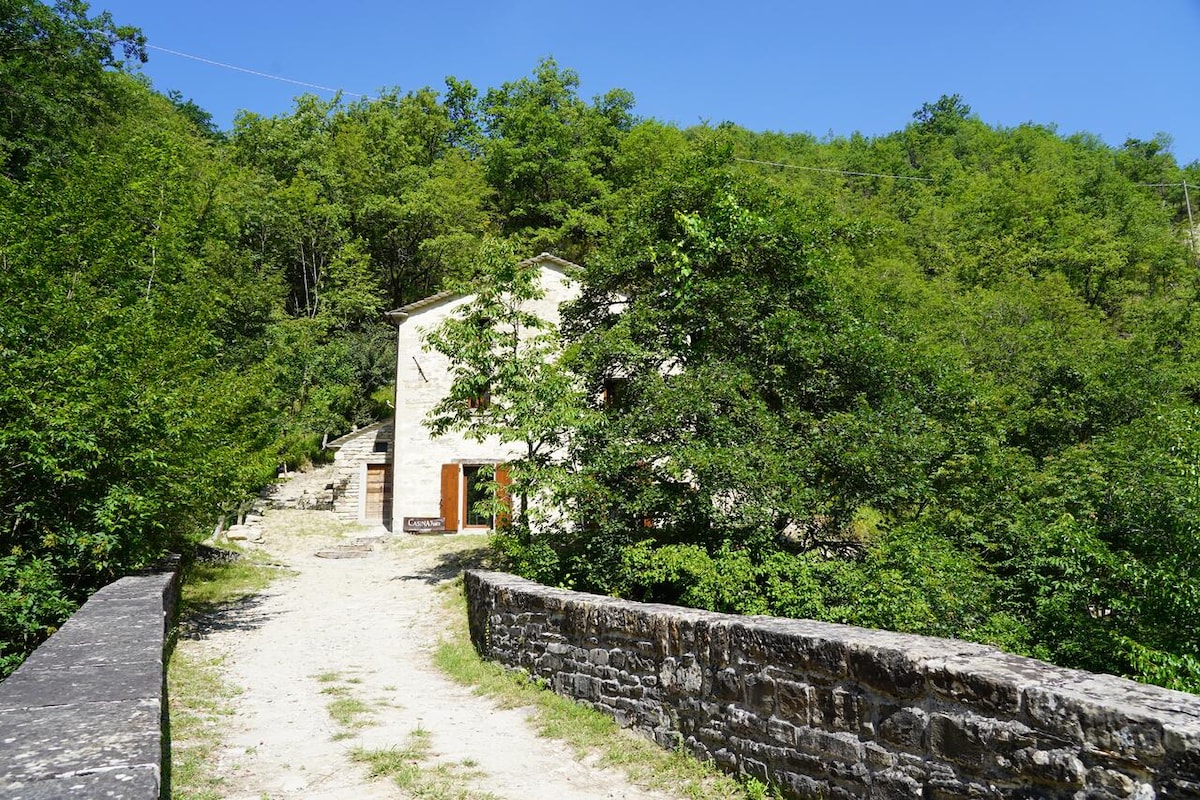 The stone house is set amidst lush green trees, with a gravel path leading up to its entrance. A rustic bridge made of stone connects to the surrounding natural landscape, promoting a sense of tranquility in the vibrant forest environment.