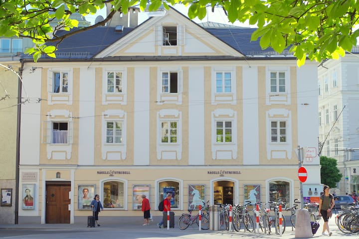 Private Room with view at Mozart House