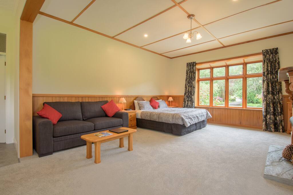 King Studio Apartment