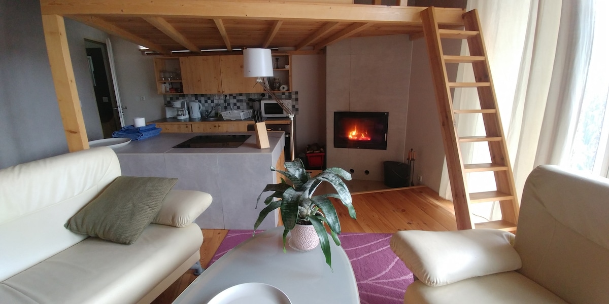 Popular Airbnb listing: Bauhaus villa on the Elsterbücke in Rahnsdorf