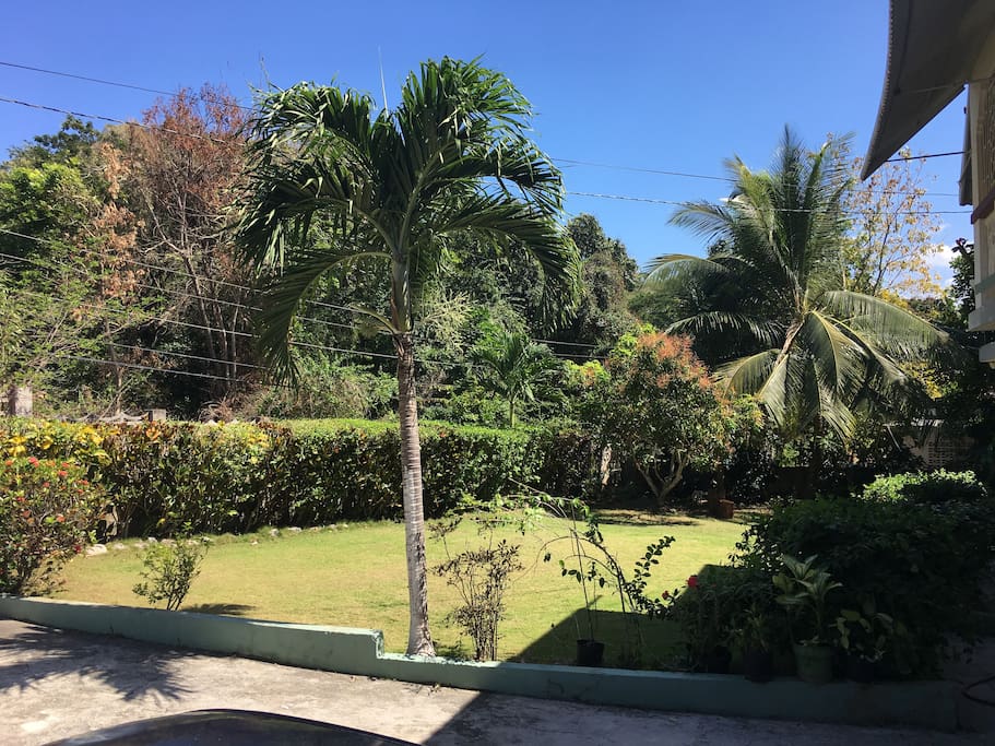 Lawn