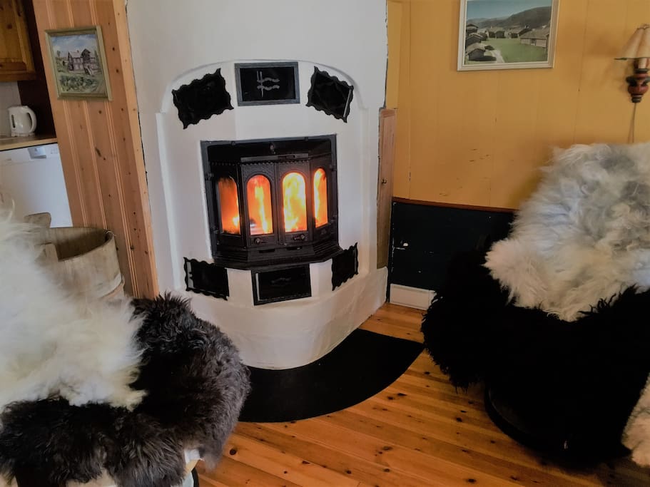 The fireplace in the living room.