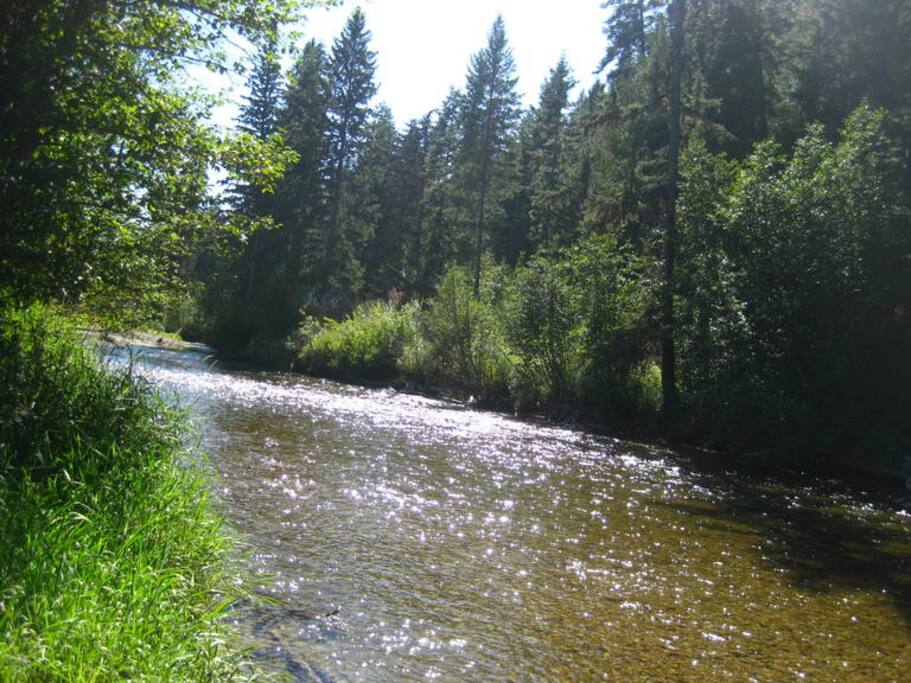 Lake Creek bordering vacation rental property