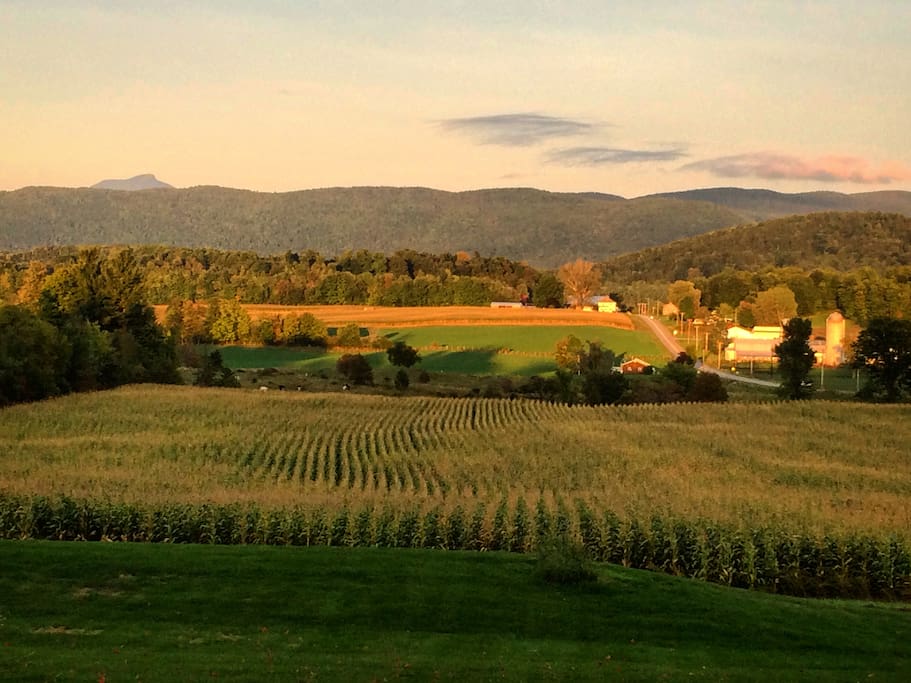 View looking East toward Camel's Hump-