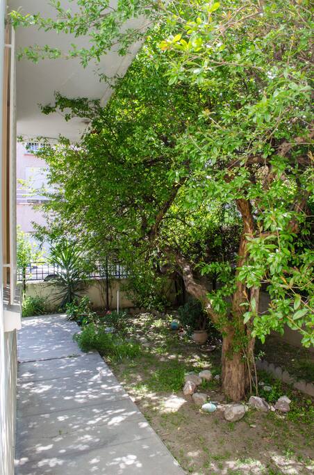 L’entrée de votre appartement avec le beau grenadier !