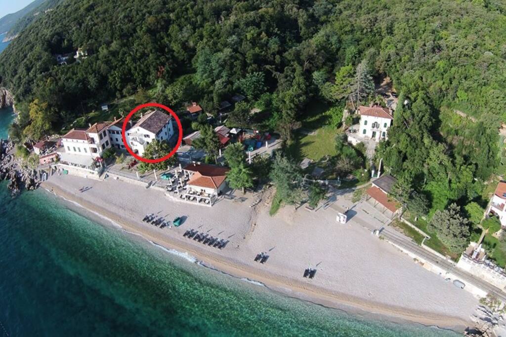 Birds view