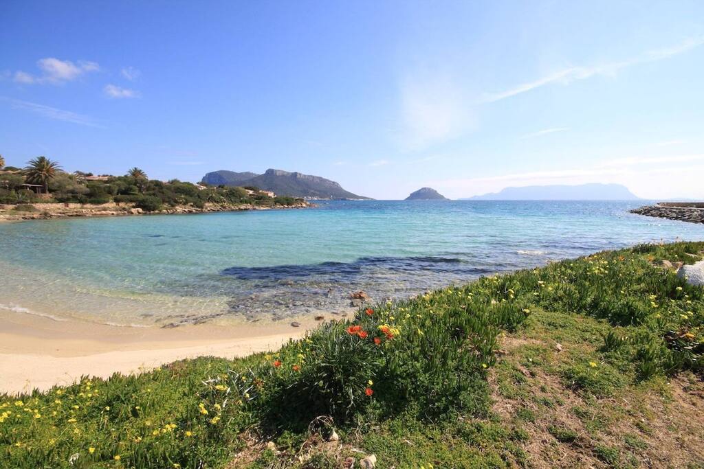 Baia Caddinas beach at 2 minutes