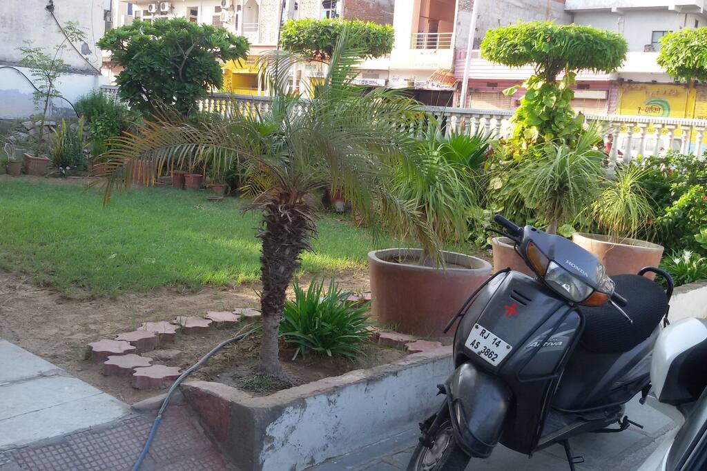 Garden View