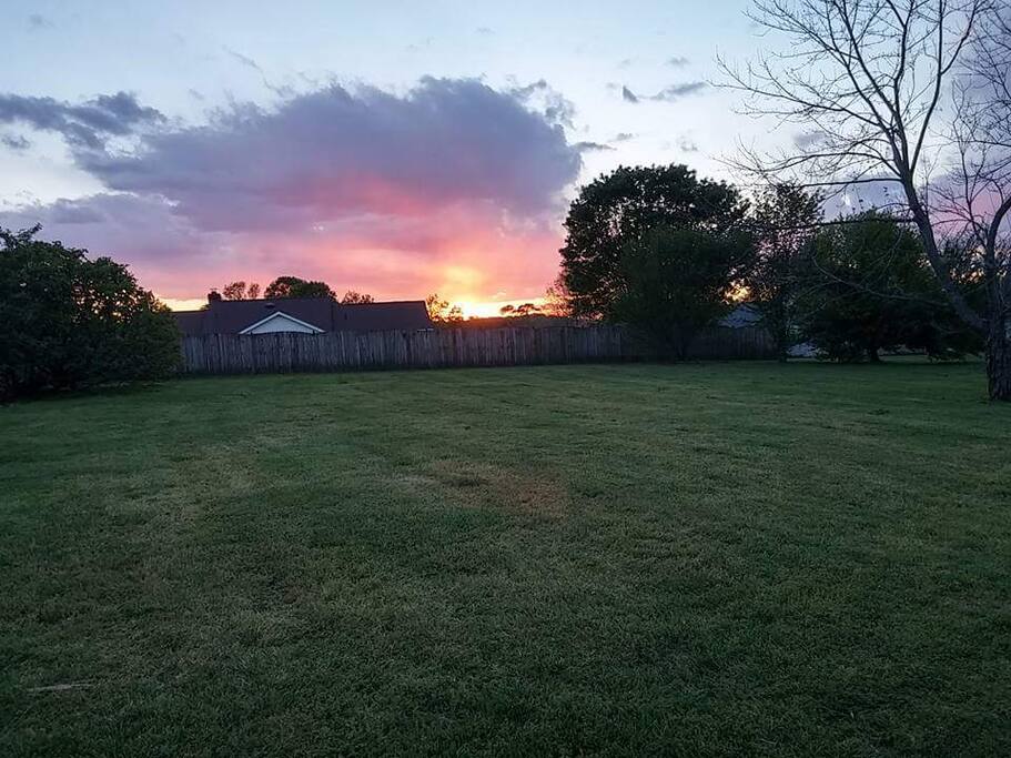 Back Yard