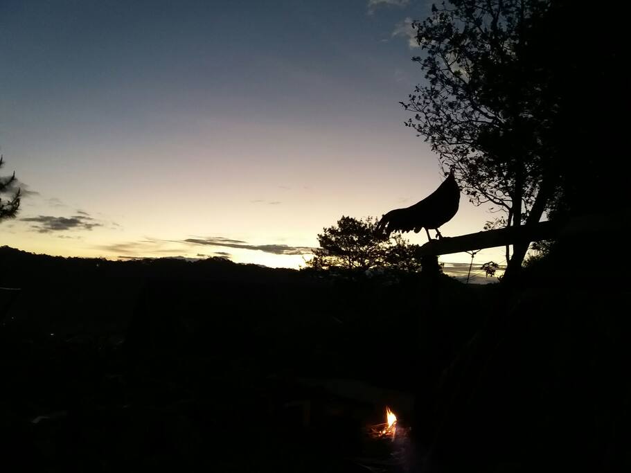 Pre-sunrise view at the property premises